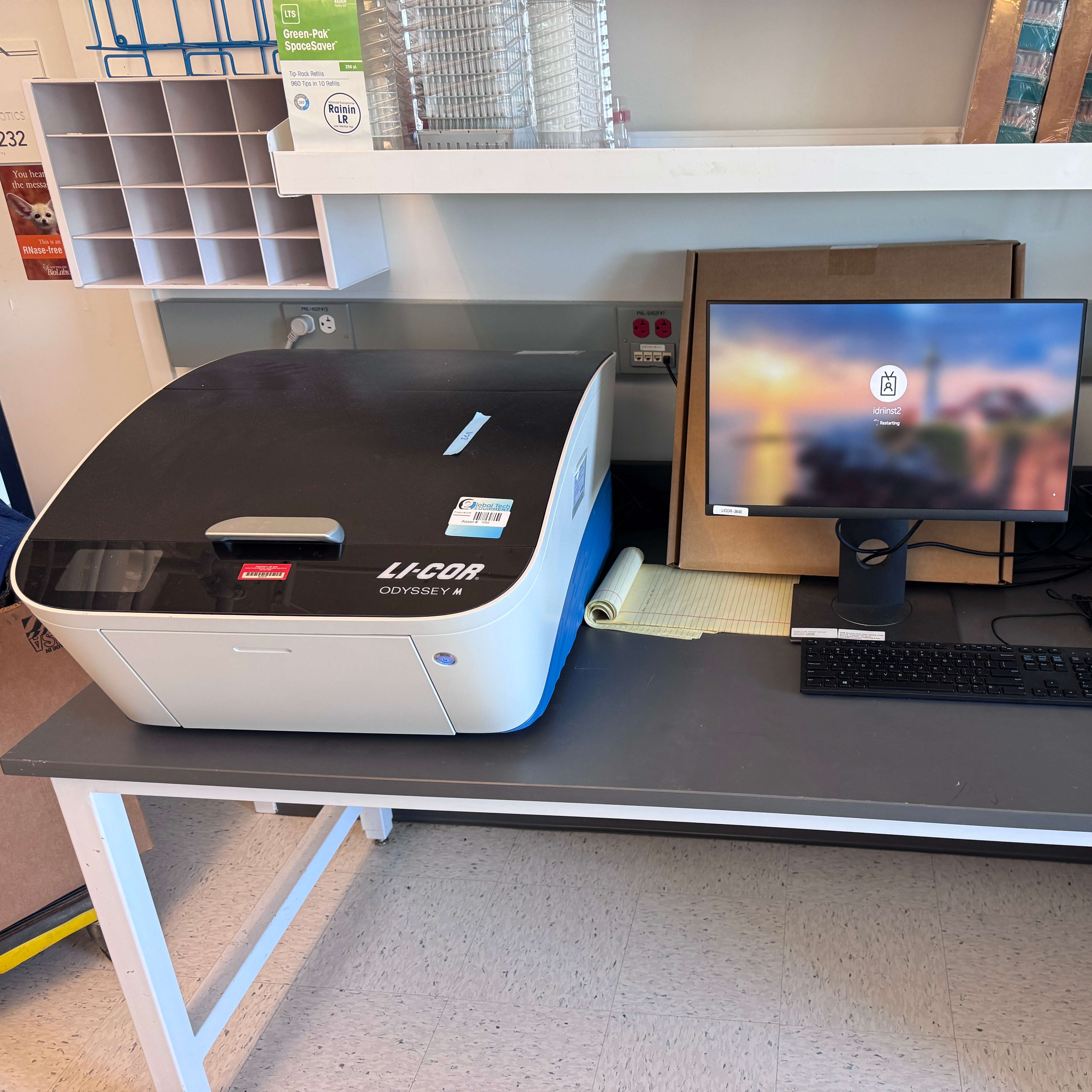 Li-Cor Odyssey M 成像系统