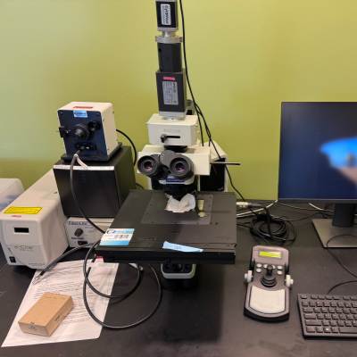 奥林巴斯BX43荧光生物显微镜